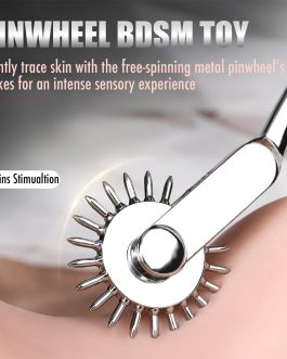 BDSM Toys Foreplay Pinwheel Sex Toys, Stainless Steel Wartenberg Wheel Roller Sex Tools Bondage BDSM Bear Sensory Play, 22 Pins Flirting Stimulation Roller Portable Couple Sex Toys Adult Bedroom Play