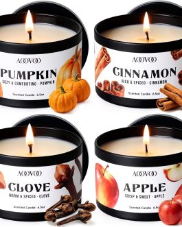 Fall Candle Set – 4 Pack Scented Candles for Home Autumn Decor Gift