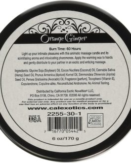 California Exotics Novelties Tantric Soy Candle – Orange Ginger